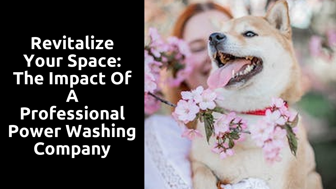 Revitalize Your Space: The Impact Of A Professional Power Washing Company