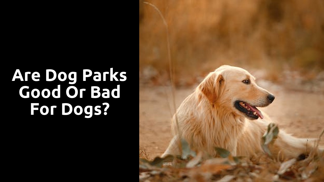 Are dog parks good or bad for dogs?