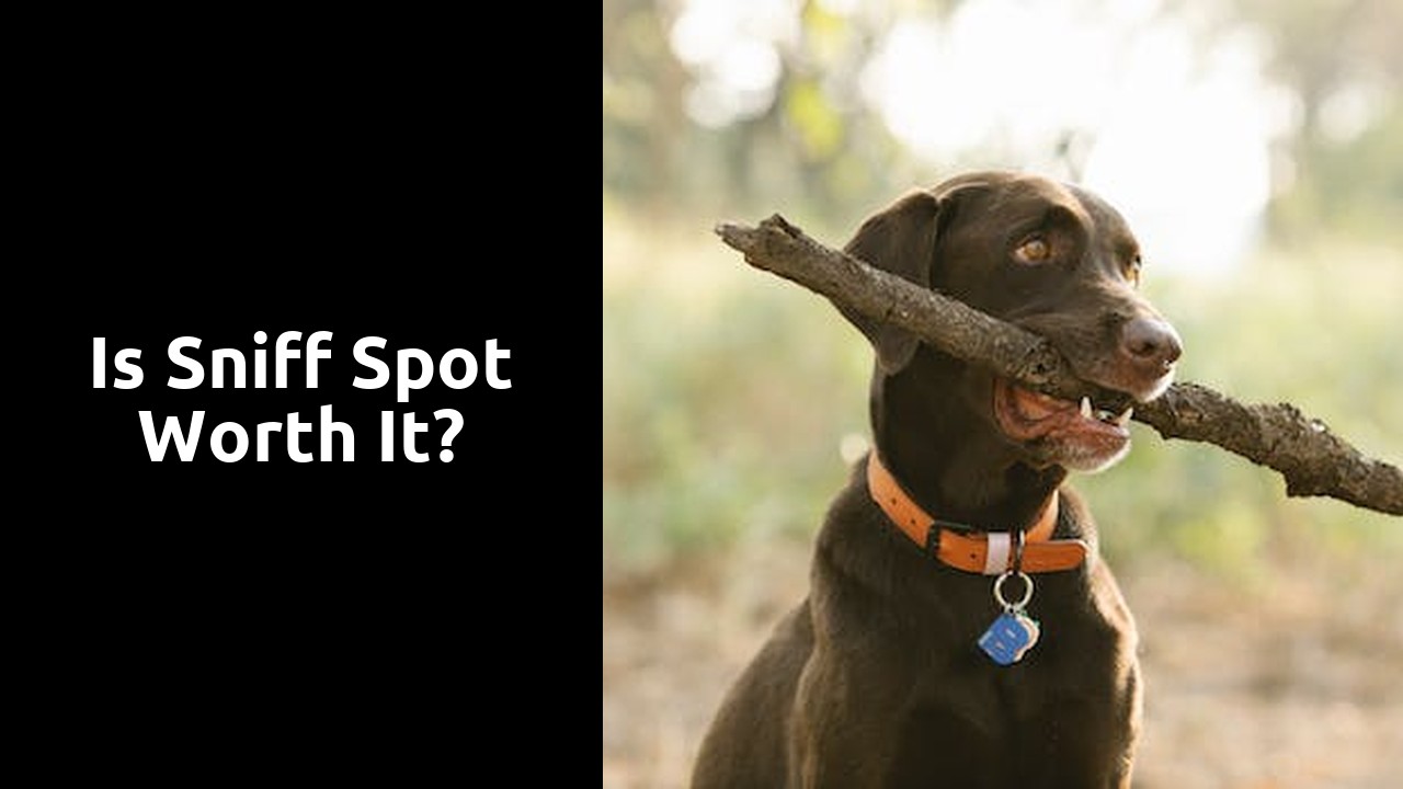 Is sniff spot worth it?